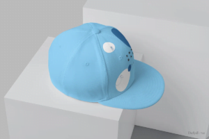 defydove hip-hop cap